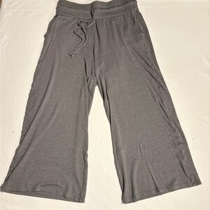 Fabletics Heidi Lounge Pants. Heather Gray - size Large. Excellent condition.